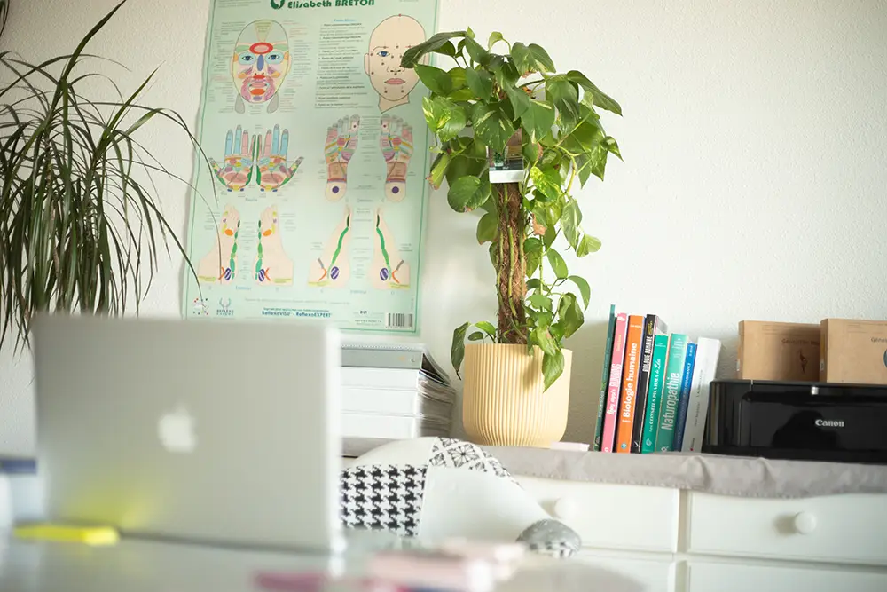 VIRGINIE NATUROPATHE Bureau