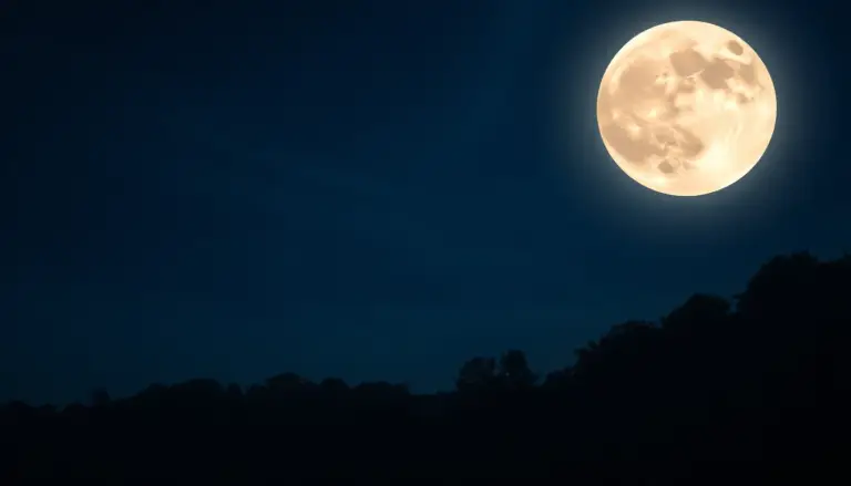 Vue apaisante d'une pleine lune illuminant un paysage, symbolisant l'influence des cycles lunaires sur la santé.